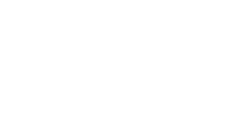 satoriz-logo-site-2022